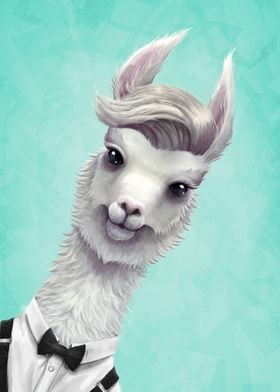 Llama questionning