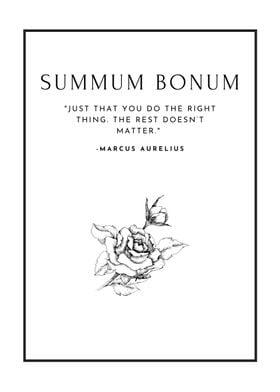 Summum Bonum Quote