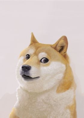 Doge Meme