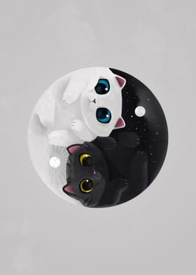 Cats Yin Yang 