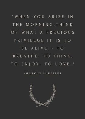 Marcus Aurelius Quote