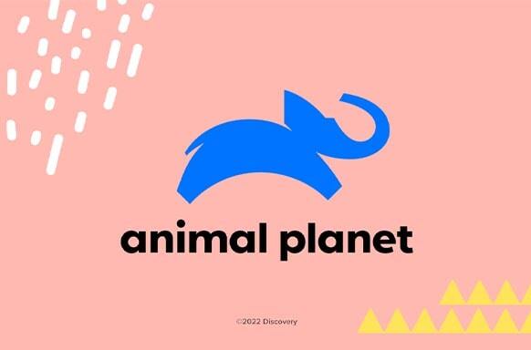 Animal Planet logo