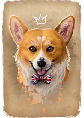 Corgi